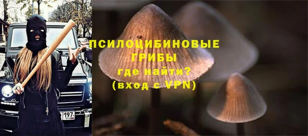 синтетический гашиш Богородск