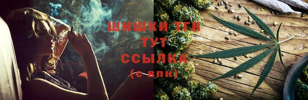 трава Богородицк