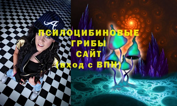 синтетический гашиш Богородск