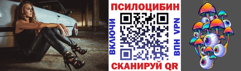 Купить где  Мензелинск  Галлюциногенные грибы Psilocybe 