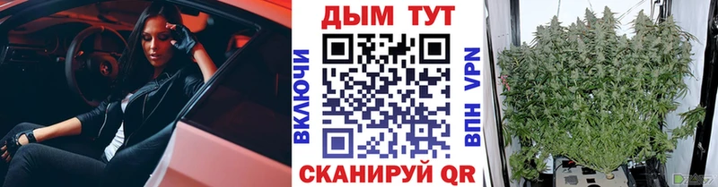 Купить где  Мензелинск  Бошки марихуана THC 21% 